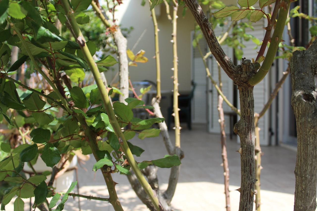 Costas Hostel Action Tseri エクステリア 写真