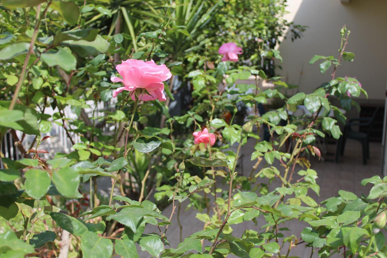 Costas Hostel Action Tseri エクステリア 写真