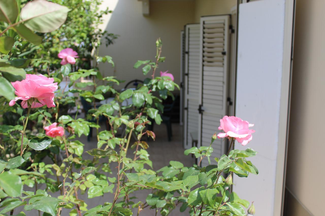 Costas Hostel Action Tseri エクステリア 写真
